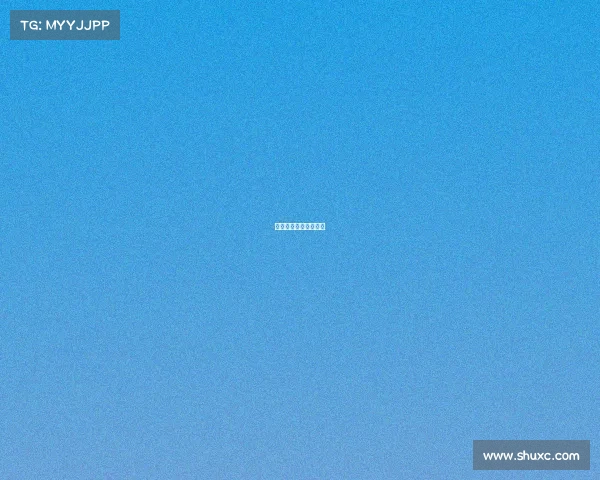 地区性比赛是什么意思